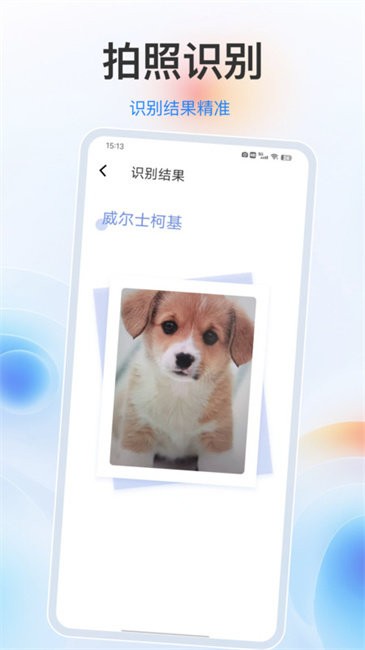 识别动物官方正版