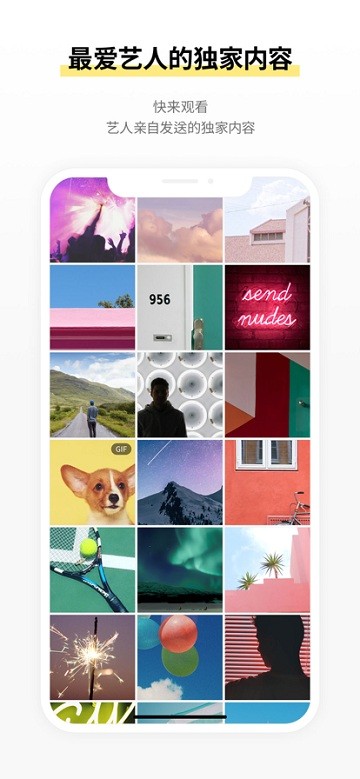 STARSHIP bubble STARSHIP bubble