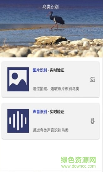 识鸟最新官方版