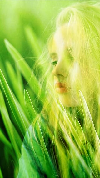 photo blender(图片融合)