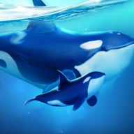 World of Water安装器