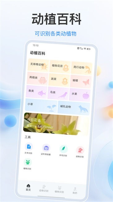 识别动物官方正版