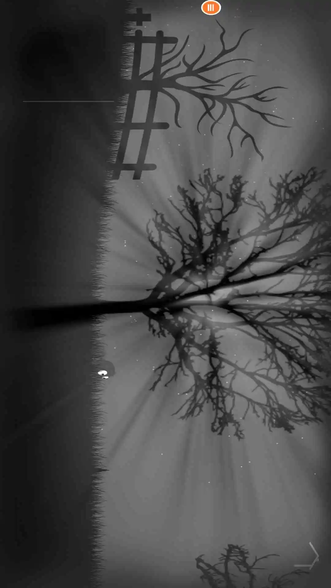 超特技的GT赛车 超特技的GT赛车