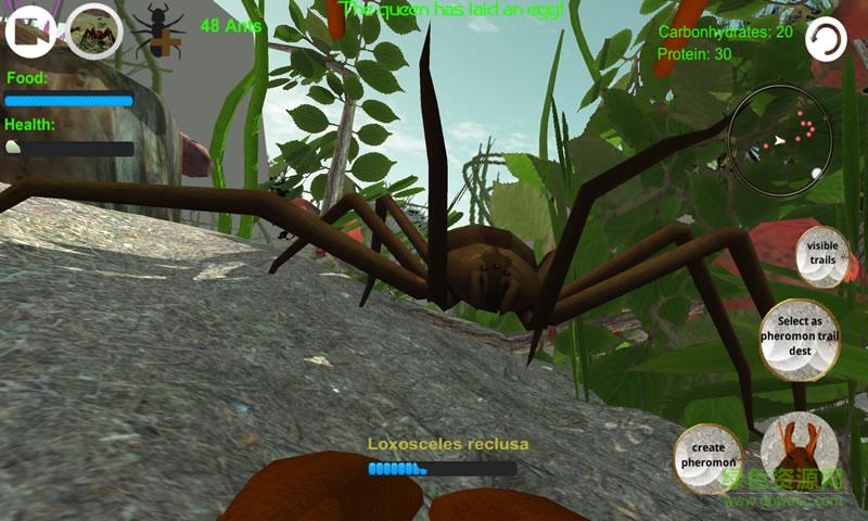 螞蟻模擬上帝版