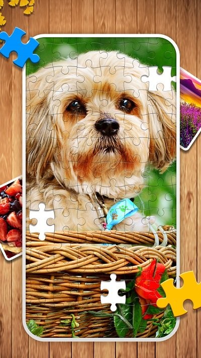 經(jīng)典拼圖 經(jīng)典拼圖