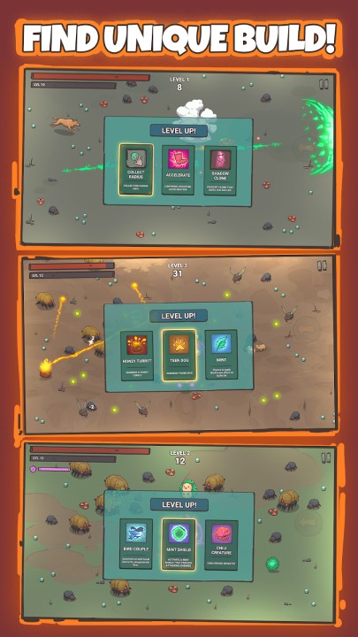 波波知了 波波知了