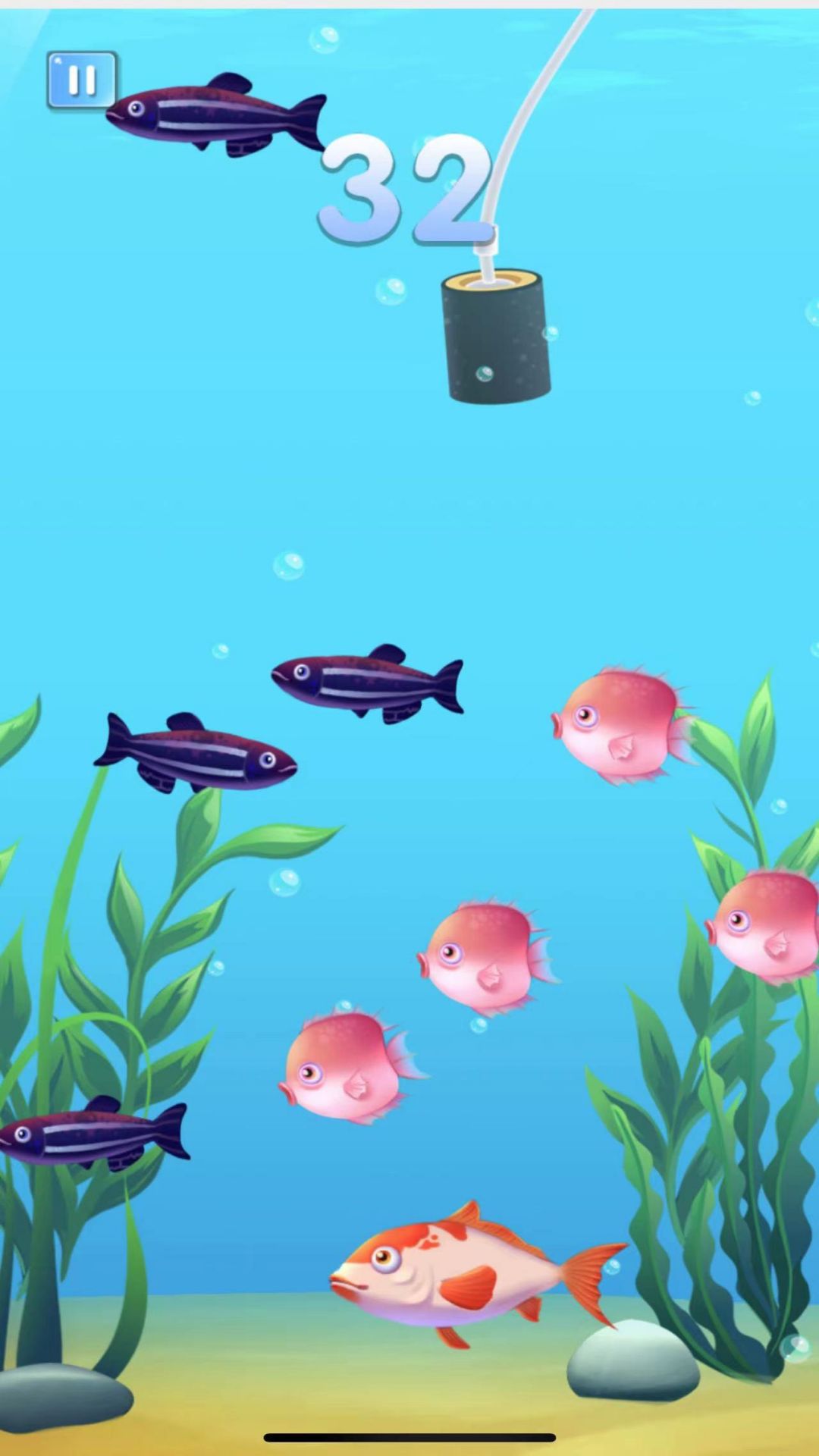 瘋狂魚宴大吃特吃 瘋狂魚宴大吃特吃