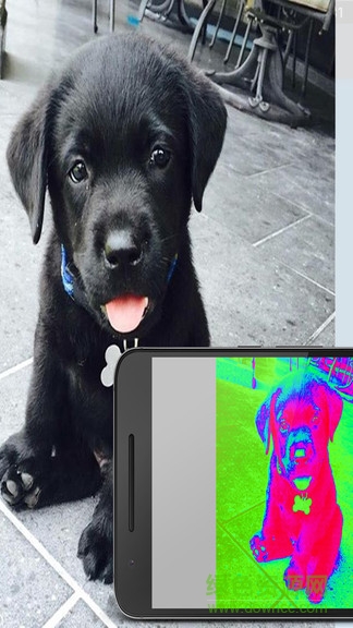 thermal camera熱成像儀app thermal camera熱成像儀app