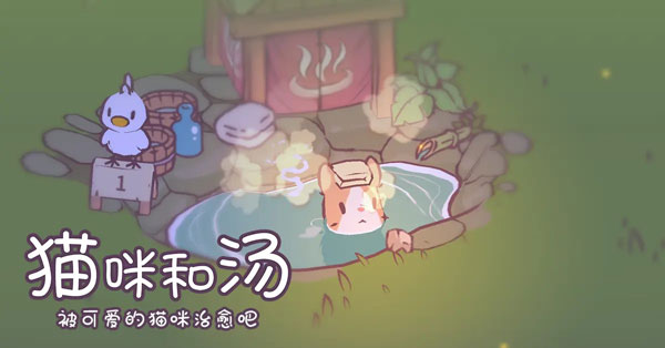 貓咪和湯安裝器