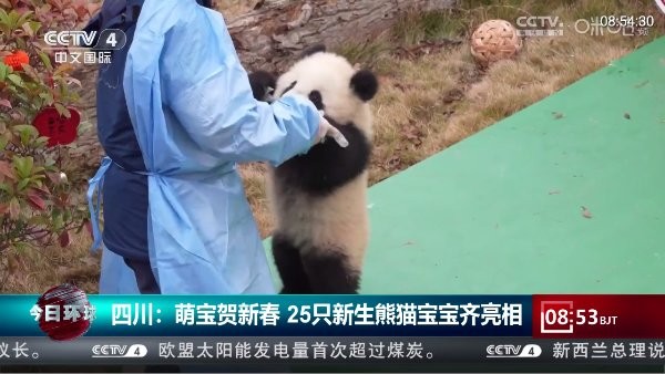 大飞直播tv最新版 大飞直播tv最新版