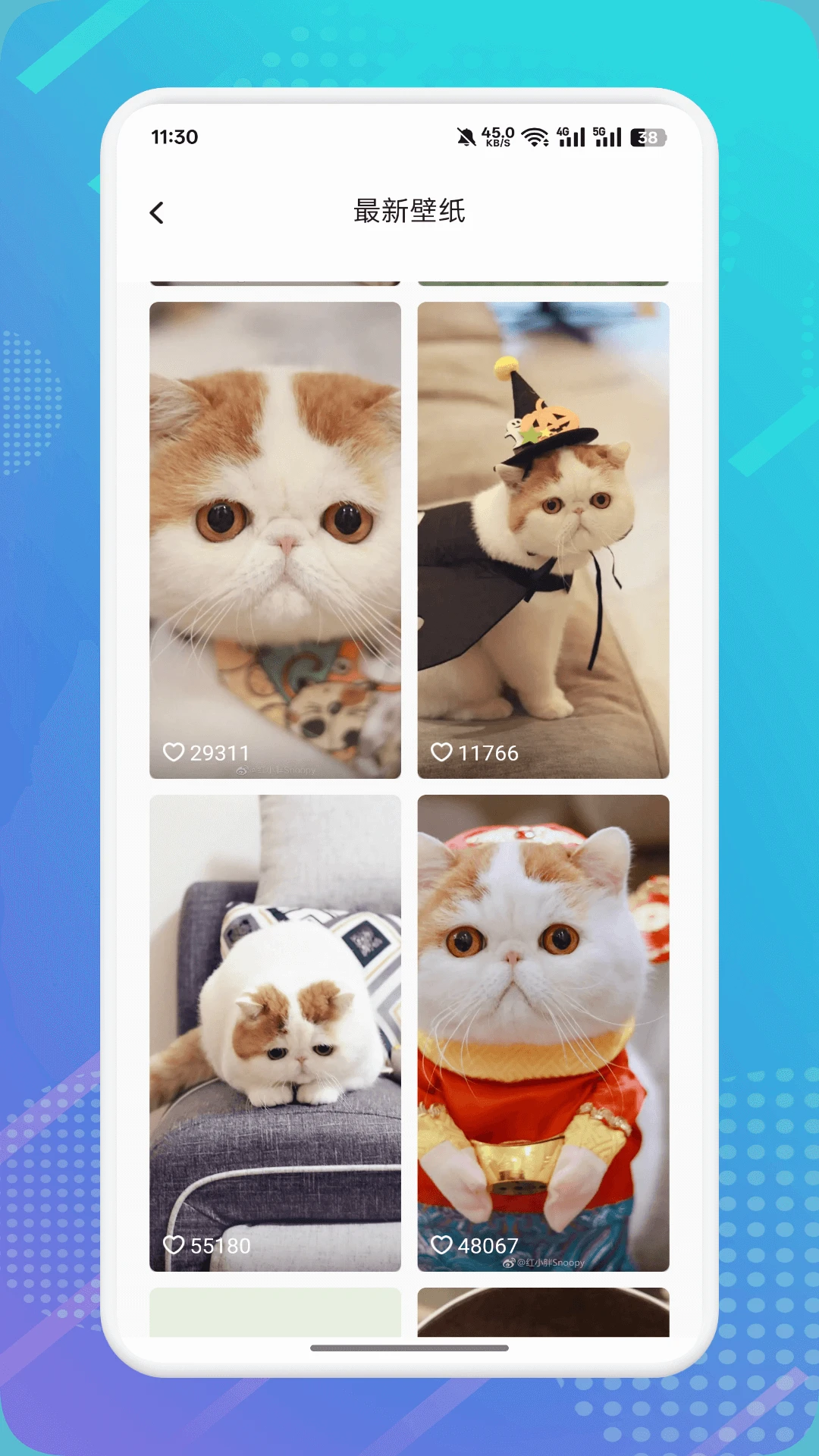 新版猫咪最新版下载 新版猫咪最新版下载