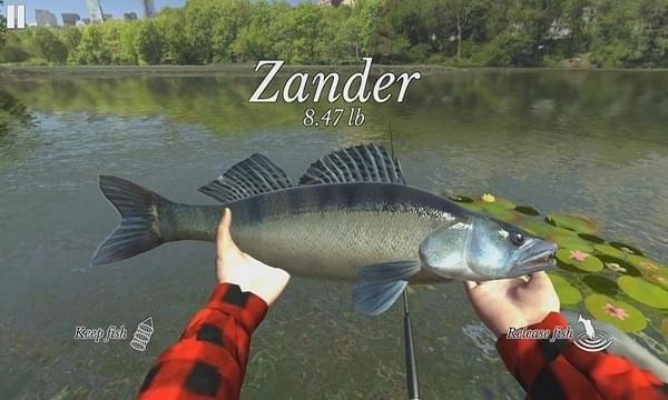 終極釣魚模擬器破解版最新官網(wǎng)版 終極釣魚模擬器破解版最新官網(wǎng)版