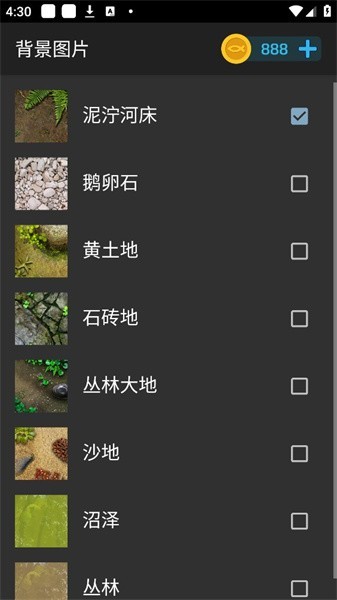 鱼池动态壁纸官网版