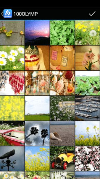 OLYMPUS Image Share OLYMPUS Image Share