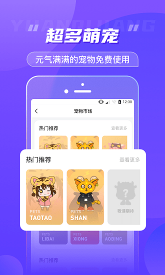 元气酱桌面宠物APP