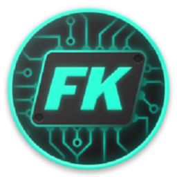 Franco内核管理器官网版