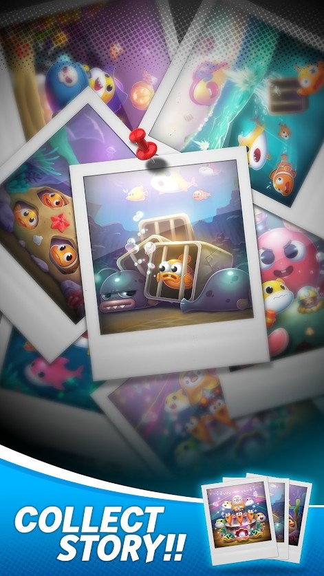 鱼宝2026最新版 鱼宝2026最新版