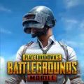pubg地铁逃生公益直装(PUBG MOBILE)