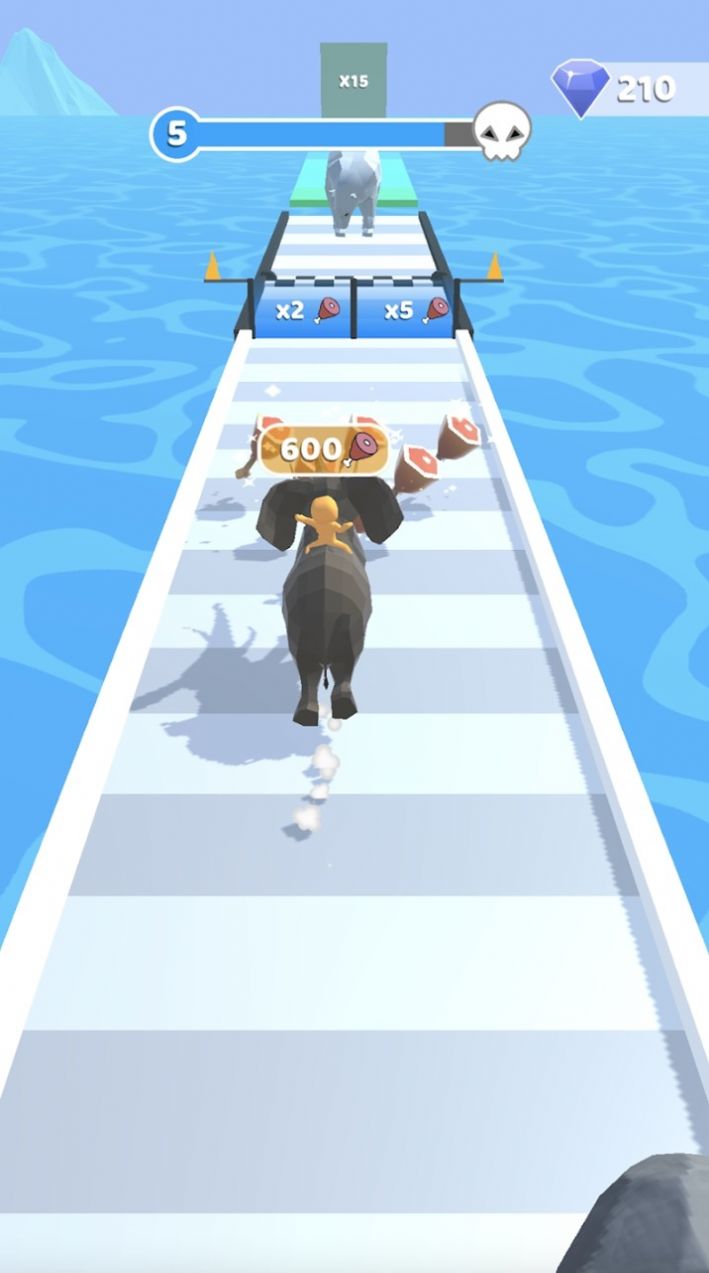 动物进化种族Animal Evolution Race