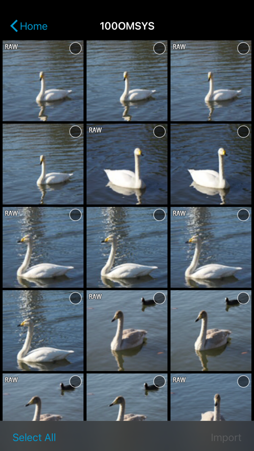 OM Image Share OM Image Share