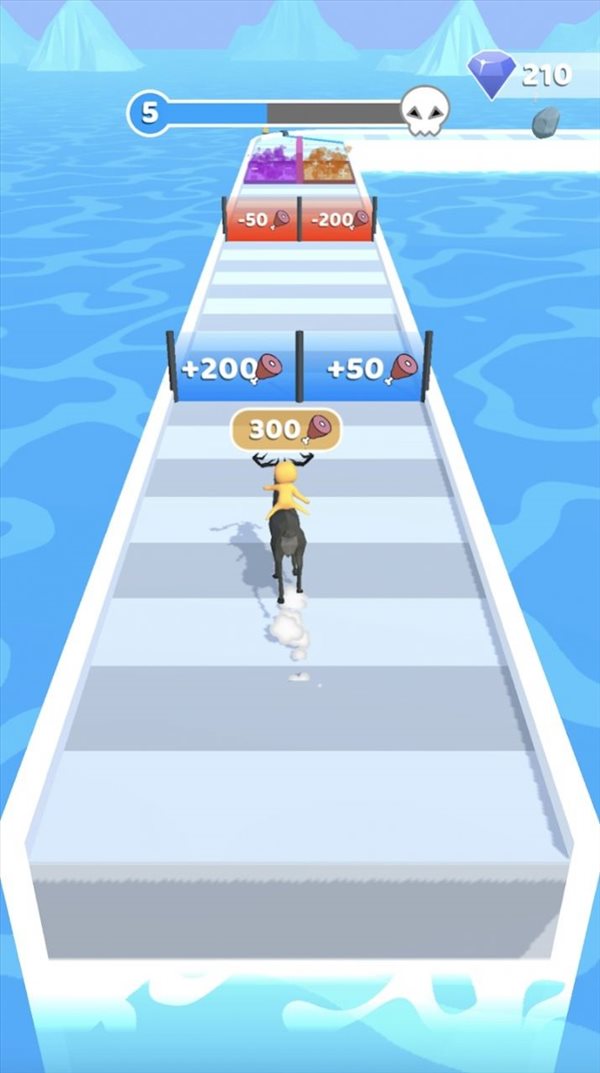 动物进化种族Animal Evolution Race