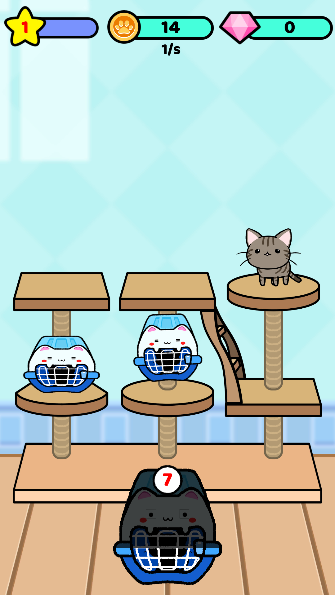 口袋小猫 口袋小猫