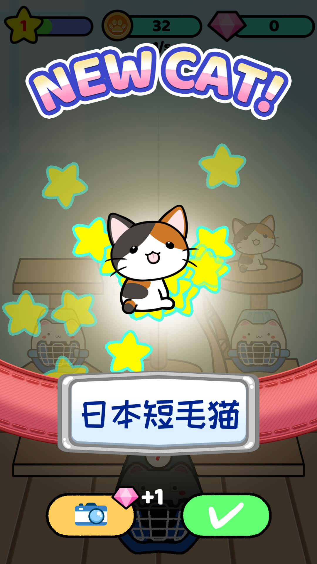 口袋小猫 口袋小猫