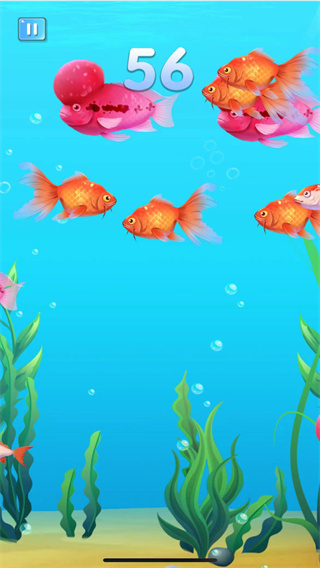 小鱼吃成大鱼游戏手机版