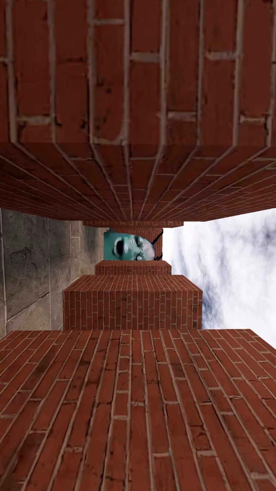 盖瑞模组追逐逃亡