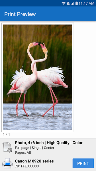 NokoHiroiMasita最新官网版 NokoHiroiMasita最新官网版