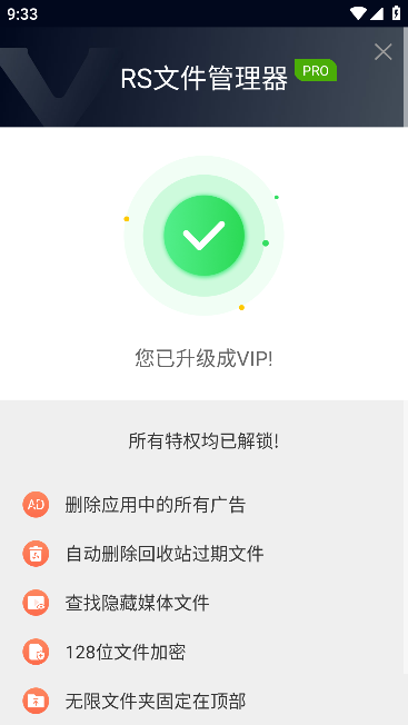 rs文件管理器漢化版