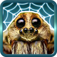 Gagaoolala影视安卓版