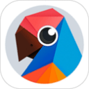 有道翻译官最新版