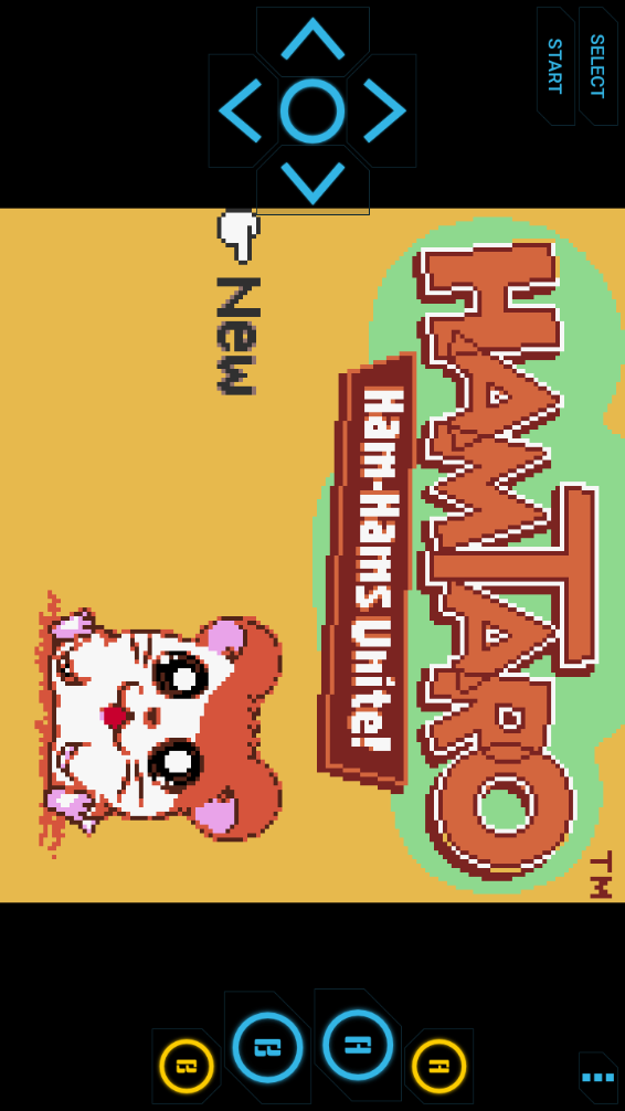 gbc模拟器汉化版(adva gbc gb simulator) gbc模拟器汉化版(adva gbc gb simulator)