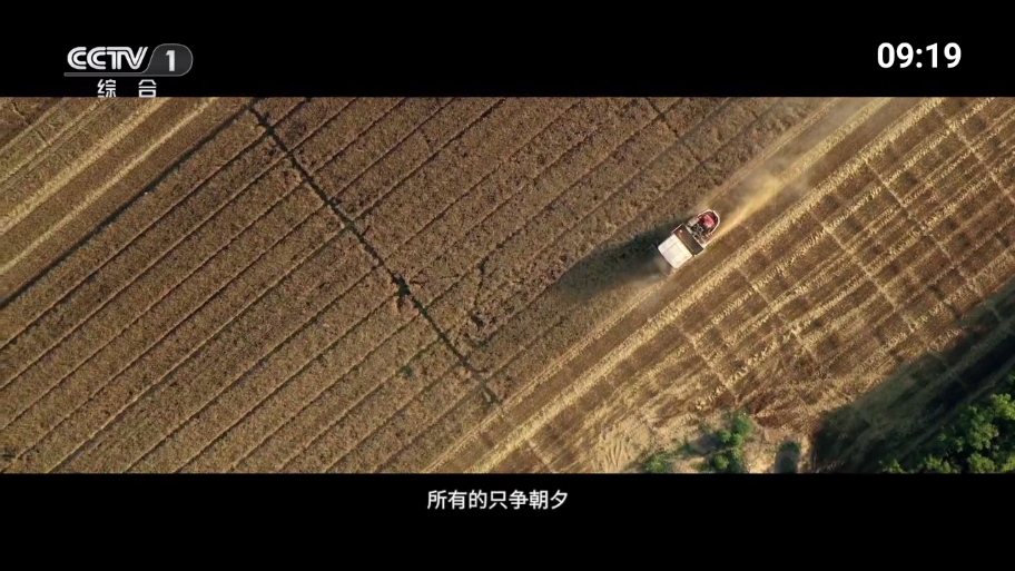 我的電視O版直播源官網(wǎng)版