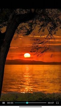 草莓视频黄网站APP安装 草莓视频黄网站APP安装