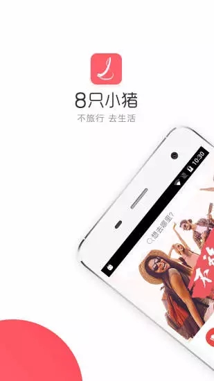 8只小猪 8只小猪