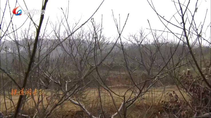 大吉电视 大吉电视