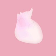 生命LIFE官方中文版2026