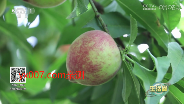 超秒直播电视安装包软件 超秒直播电视安装包软件