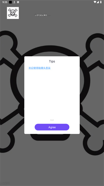 骷髅头直装2025本官网版