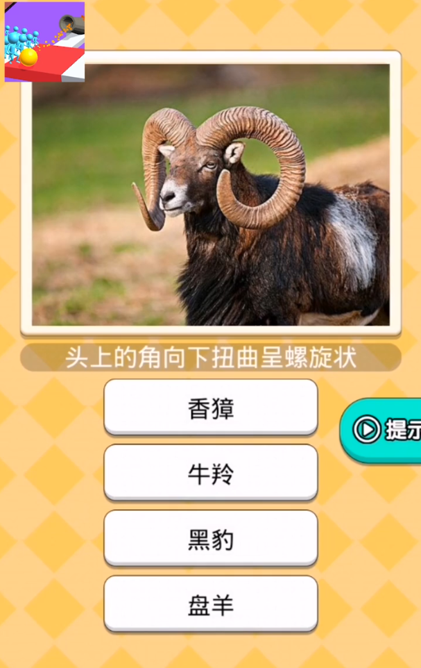 哥哥别走2026手机版