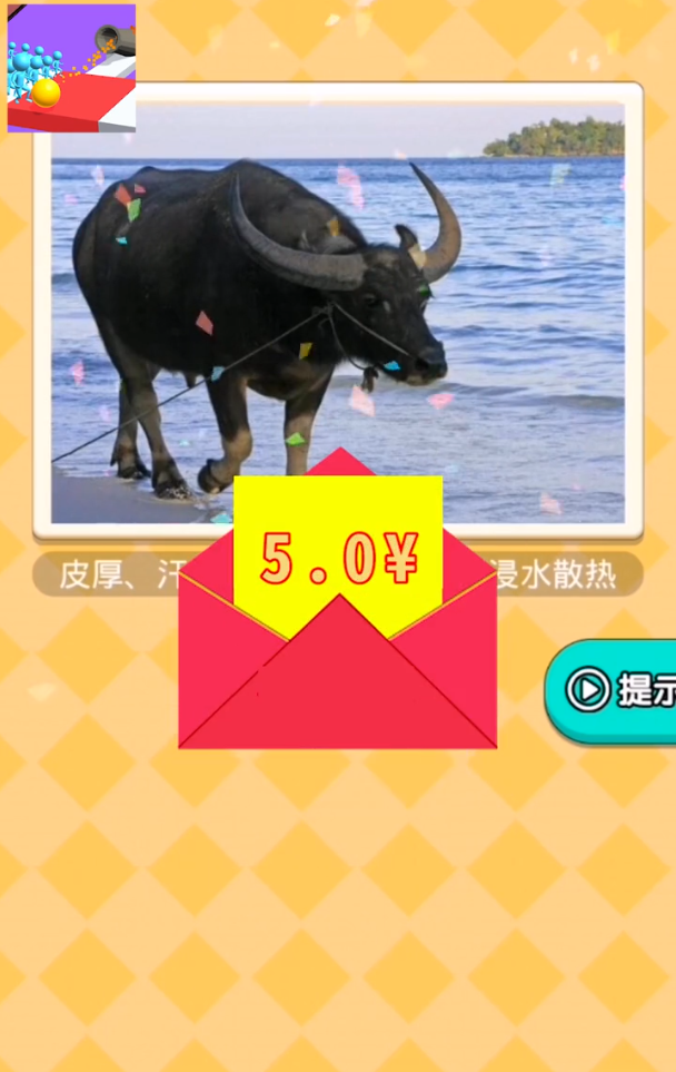 哥哥别走2026手机版