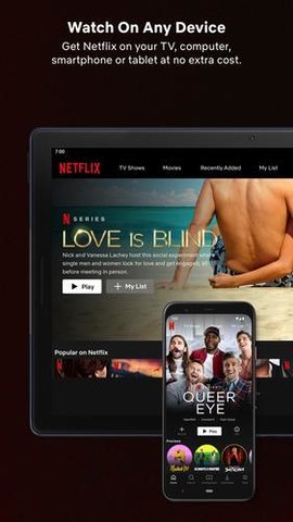 奈飛netflix破解版最新版