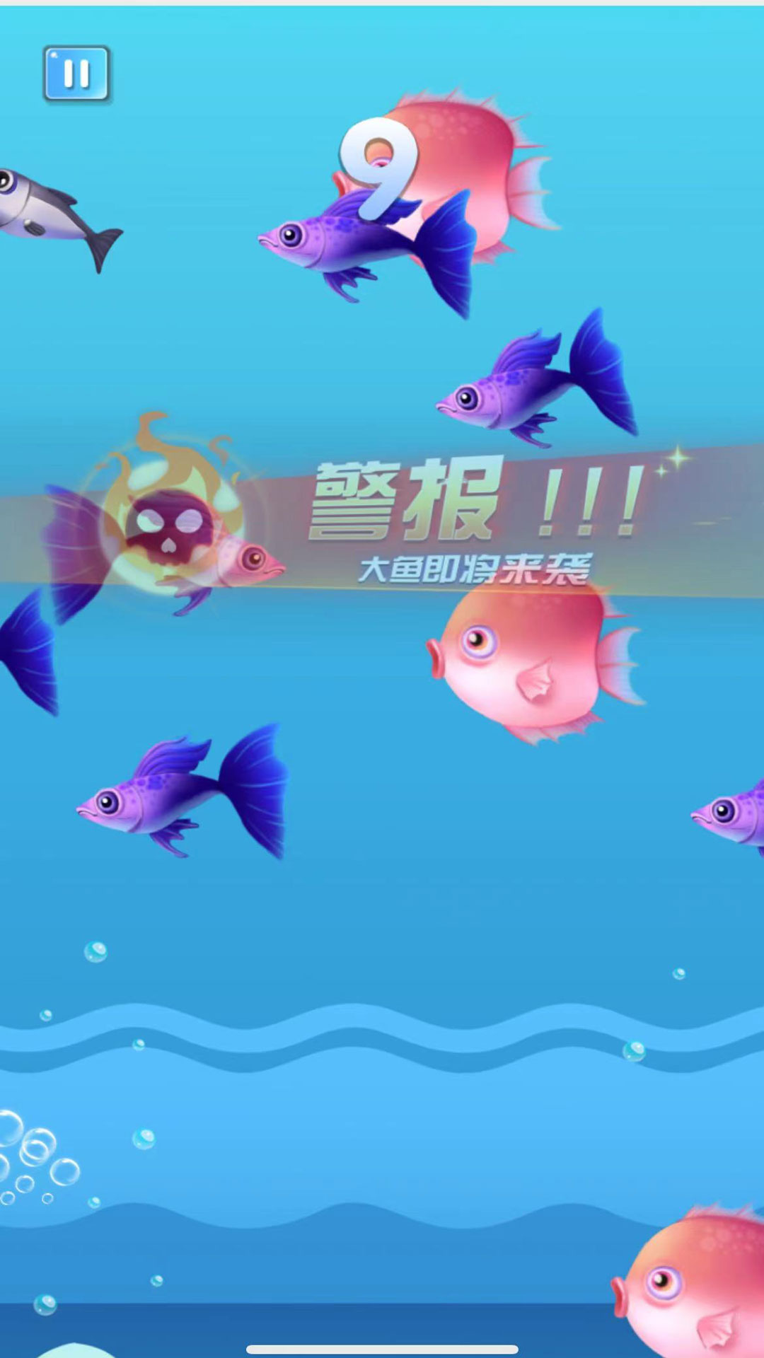 瘋狂魚宴大吃特吃 瘋狂魚宴大吃特吃