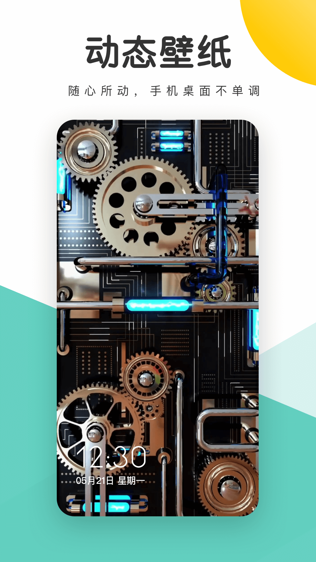 蜻蜓壁纸app 蜻蜓壁纸app