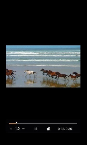 金沐文件助手官網(wǎng)版