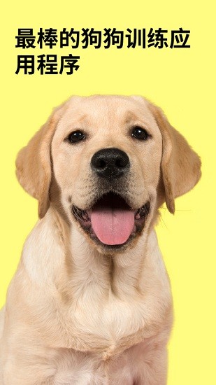 狗狗训练教程官网免费版