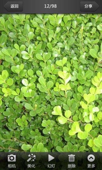 美圖看看手機版 美圖看看手機版