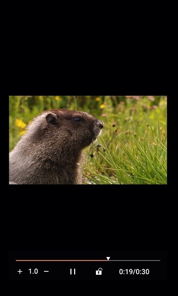 金沐文件助手官網(wǎng)版